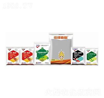 С�����x����Q����-�ѾG����-�����