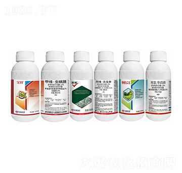 ���Ե�����Q����-�����