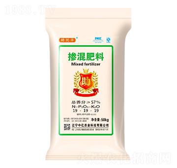 �������19-19-19-�����S-�Ѓ|�r�I(y��)