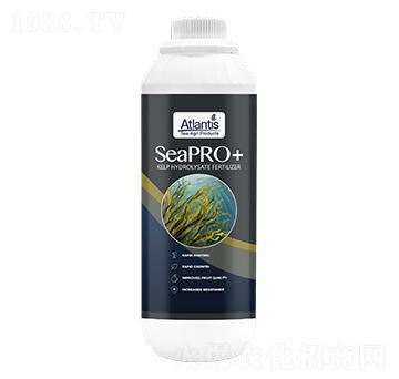 ���塤�O��-�{�Kɭ