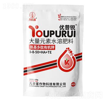 ���������ЙC(j��)�-��(y��u)���J-���r(n��ng)��