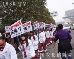 �r(n��ng)�����̾W(w��ng)��ʮ�ˌÝ���ֲ���p���������ӵ����