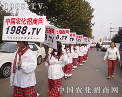 �r(n��ng)�����̾W(w��ng)2012��(j��)��ֲ���p����(hu��)�����c(di��n)