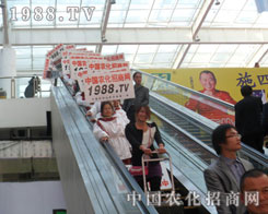 �r(n��ng)���W(w��ng)��(zh��n)ʿ�����p�����|����ƴ��һƬ�x�͵����