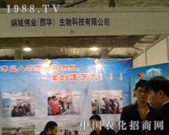 �z�ǂ��I(y��)��������푏�18��ɽ�|ֲ���p����(hu��)