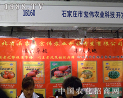 ʯ���f�ꂥ�r(n��ng)�I(y��)�ڝ�(j��)��ֲ����(hu��)��ȡ���x�ͳɿ�(j��)