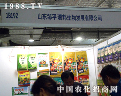 �uƽ����٬F(xi��n)��I(y��)