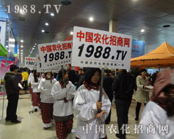 1988.TV������(zh��n)��(hu��)��(ch��ng)�����o(w��)��ֹ