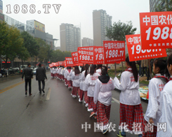 2013��(j��)��ֲ����(hu��)���ڡ�С��ꖡ��Ĺ�â