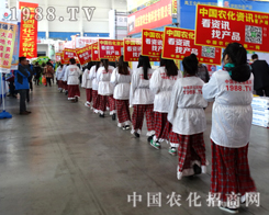 �r�����̾W��2014��������p����������