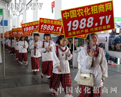 1988.TV��2014�|��ʡ���ϕ����Ĝʂ�