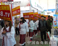 ��ʮ����ꖷ����p����(hu��)���r(n��ng)���W(w��ng)��С��ꖳ���(j��)ٝ