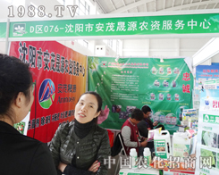 ���(y��ng)�а�ï��Դ���˶�����ԃ