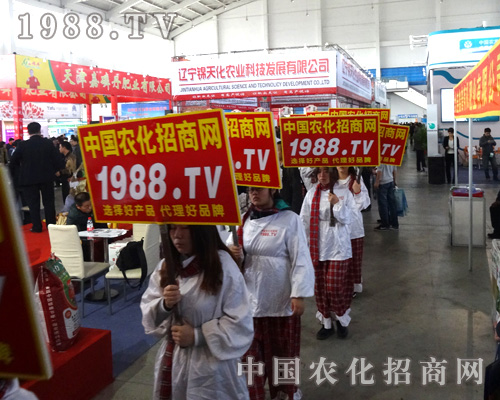 2014�����(y��ng)���ϕ�(hu��)�ϡ��@�F(xi��n)С���(y��ng)��