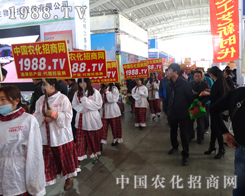 ��ʮ�����(y��ng)�����p����(hu��)�ϵ�С�۷�