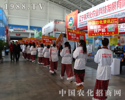 �r(n��ng)���W(w��ng)��һֱ��ģ������δ����Խ