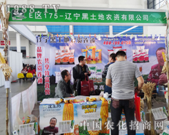 �������r(n��ng)�Y�e�O���ӵ�ʮ�����(y��ng)���ϕ�(hu��)