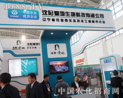 �۵�����Ƽ�����������p�����`��