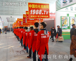 1988.TV�����ˆT�����w�P(y��ng)���������