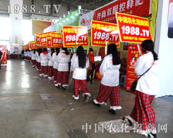 ��27�Ü���ֲ����(hu��)1988�r(n��ng)���W(w��ng)��(d��ng)֮�o����������ģ