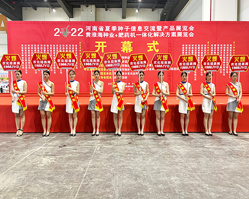 �����]�����Ĵ������������L�ɱM�@��