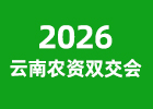 2026�����r�Y�p����