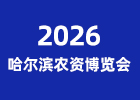 2026�����I�r�Y���[��