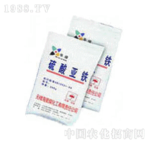 ����-���၆�F