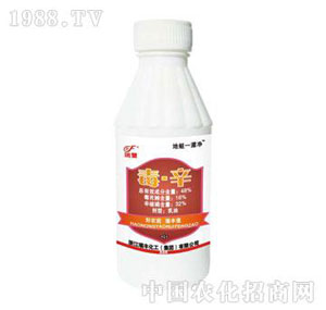 ɽ�|�r(n��ng)�Y-����