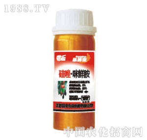 ���r(n��ng)�r(n��ng)��-�������r��