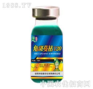 �J��-�ǰ�����120