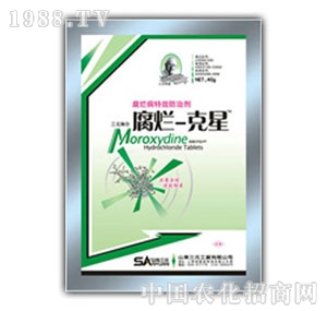 ɽ�|��Ԫ-��������