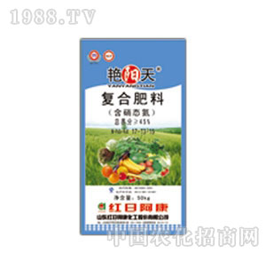 �t�հ���-�G���17��13��15�ͺϷ�