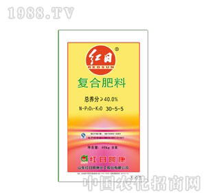 �t�հ���-�t��30-5-5�ͺϷ�