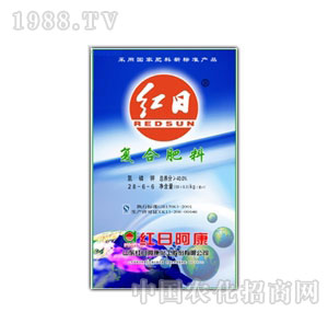 �t�հ���-�t��28-6-6�ͺϷ�