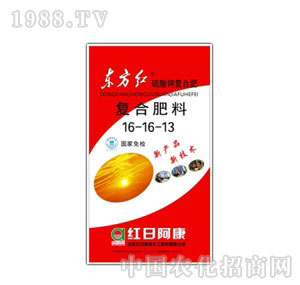 �t�հ���-�|���t��ʏͺϷ�