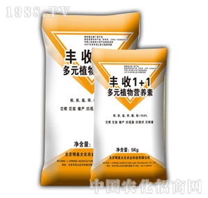 ��Ȫ��-�S��1+1