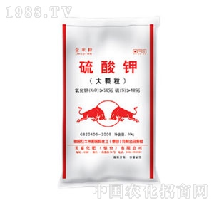 ���-�tţ�����������