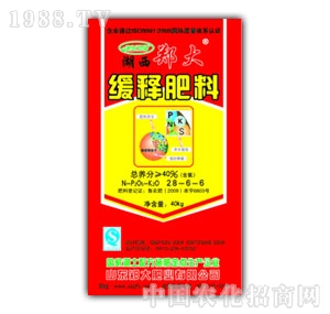 ����ʘI(y��)-��ጷ�28-6-6