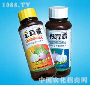 �ٰ�-������y���