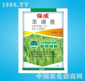 �ٰ�-����