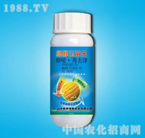 �ٰ�-38%���瘷