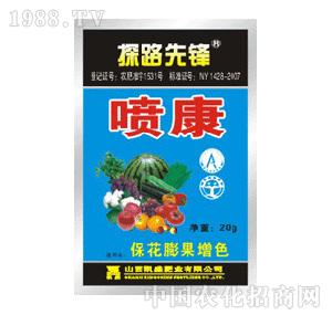 ̽·���h-�������������ɫ