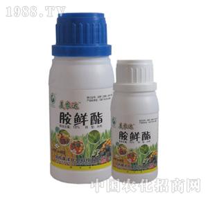 ����-���r��