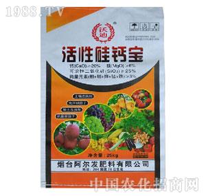 �����l(f��)-���Թ��}�������b��