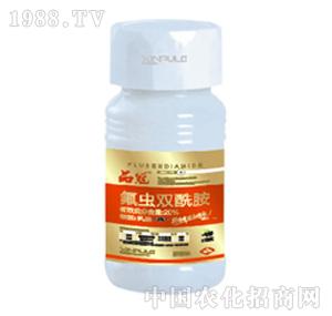 ���՘�-���x�p����