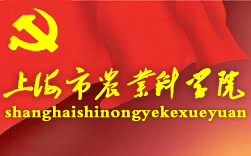 �Ϻ����r(n��ng)�I(y��)�ƌWԺ