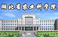 ����ʡ�r(n��ng)�I(y��)�ƌWԺ