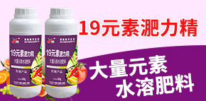 ����꿾����＼�g���޹�˾