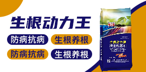 ɽ�|�����������＼�g���޹�˾